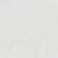 DR DGVT Pulpis Marble Silver